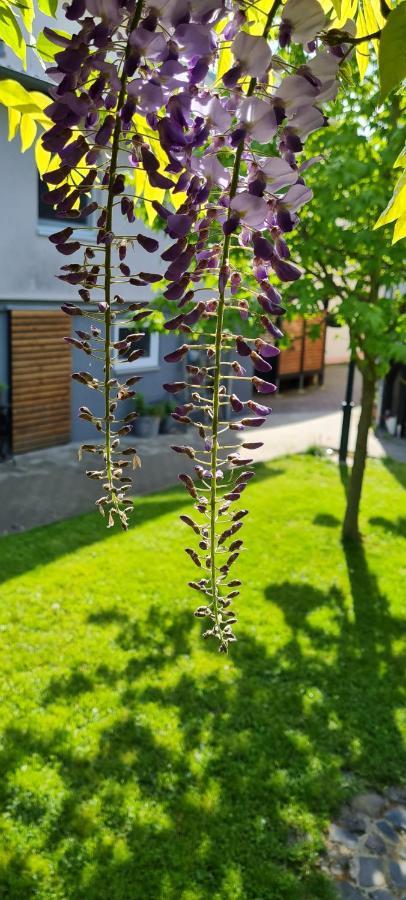 Ferienapartment Mia Fritzlar Luaran gambar